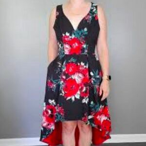 TRIXXI CLOTHING COMPANY MULTI-COLOR FLORAL PRINT V-NECK DRESS